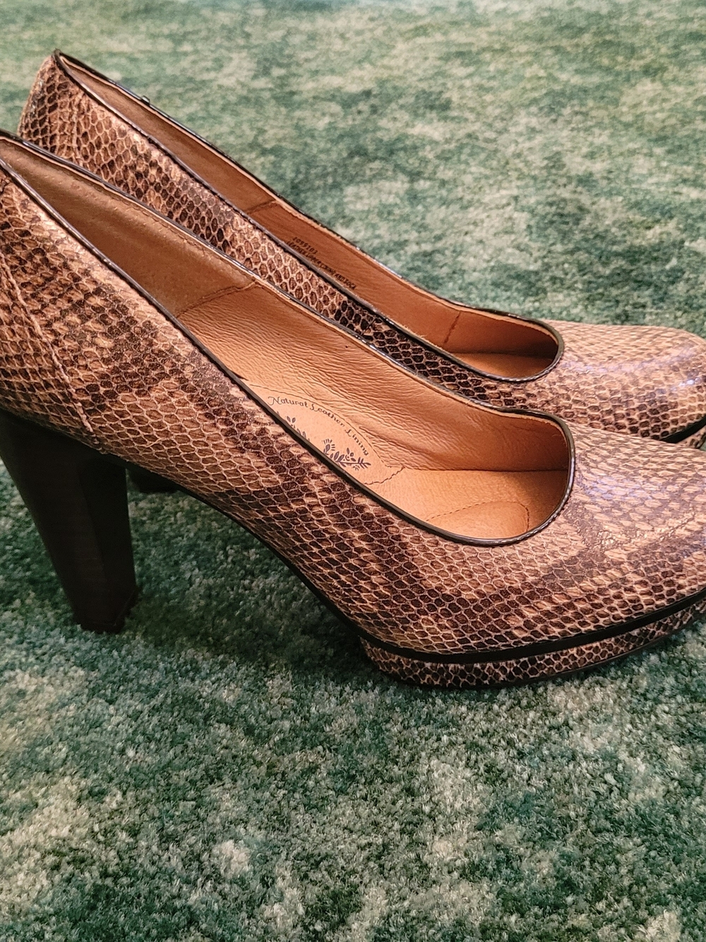 NWT Snake-Print Sofft Leather Pump - Picture 2 of 9